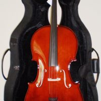 Capri Cello HD-C-11