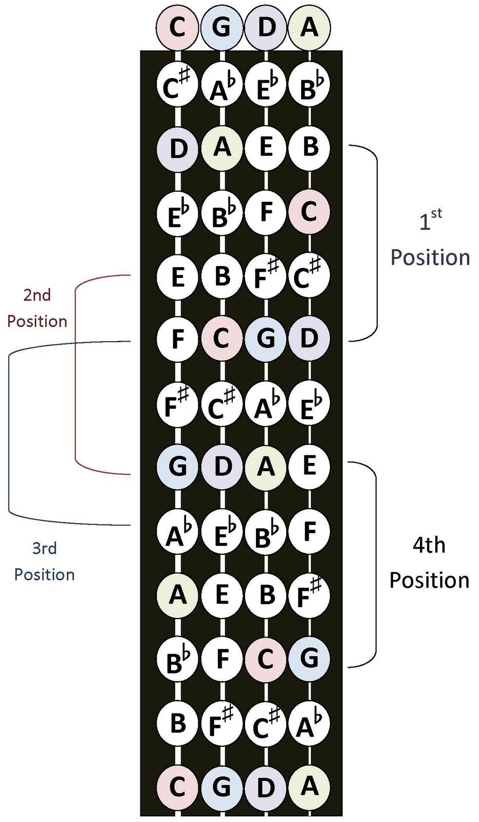Bass Position Chart