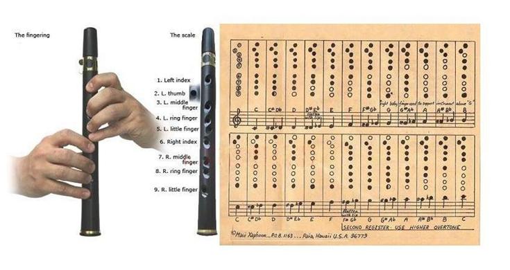 Quena Flute Finger Chart